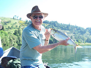 Shad on the Umpqua